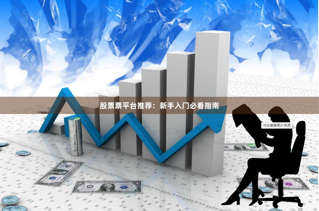 股票票平台推荐：新手入门必看指南